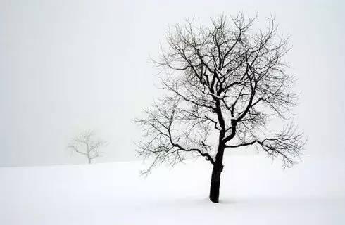 ������ô����?5������ɹ�����