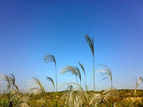 ���ڸ�Ⱦˮ��С��̥������