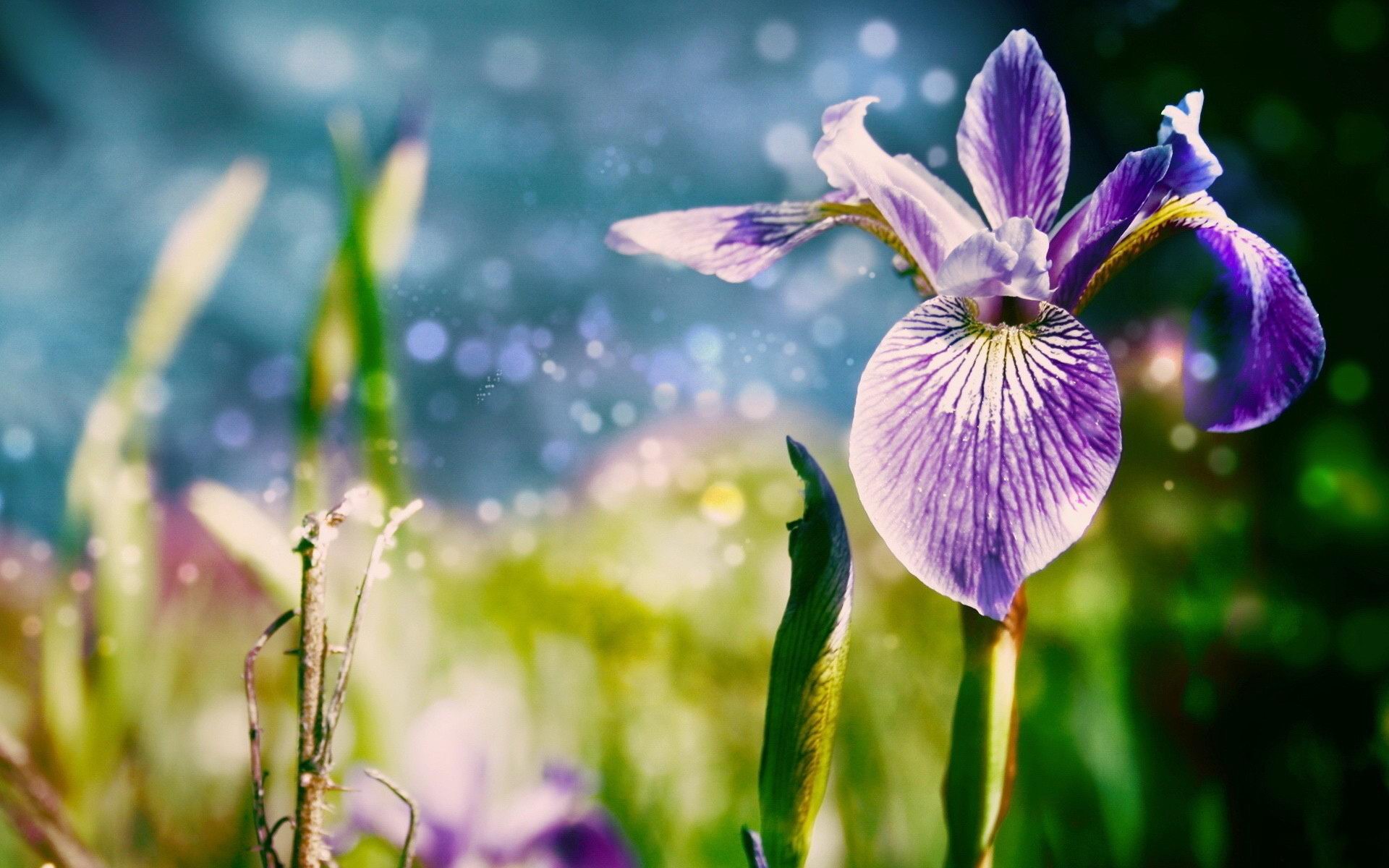 Ů����Ȼ������Ҫע��ʲô