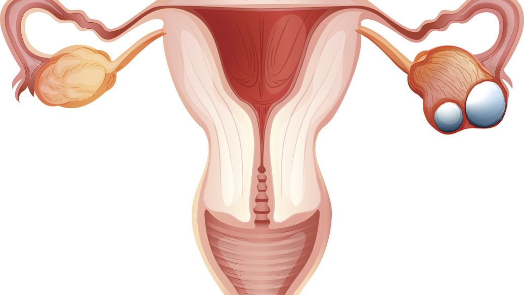 �����Թ������õ����ִ�����֪