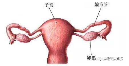 ���ѹܶ�������Щ֢״ ���Ԥ�����ѹܶ���